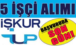 Bingöl’de 5 İşçi Alımı Başvurularında Son Gün!