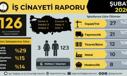 Bingöllü 2 İşçi Hayatını Kaybetti