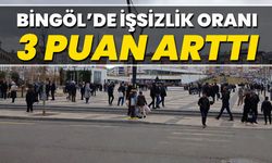 Bingöl’de İşsizlik Oranı 3 Puan Arttı