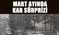 Bingöl'de Mart Ayında Kar Sürprizi