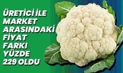Üretici İle Market Arasındaki Fiyat Farkı Yüzde 229 Oldu