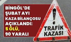 Bingöl’de Şubat Ayı Kaza Bilançosu Açıklandı: 5 Ölü, 90 Yaralı