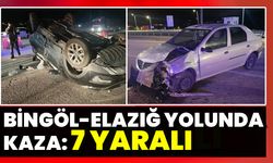 Bingöl-Elazığ Yolunda Kaza: 7 Yaralı
