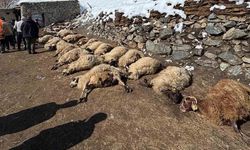 Van'da Ahır Yangını: 68 Hayvan Telef Oldu