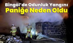 Bingöl’de Odunluk Yangını Paniğe Neden Oldu
