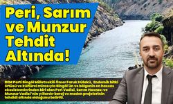 Peri, Sarım, Munzur Tehdit Altında!