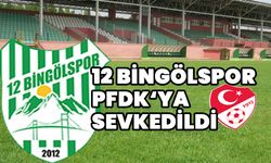 12 Bingölspor PFDK’ya Sevkedildi