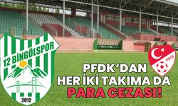PFDK’dan 12 Bingölspor’a Para Cezası!