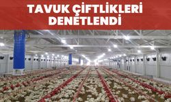 Bingöl’de Tavuk Çiftlikleri Denetlendi