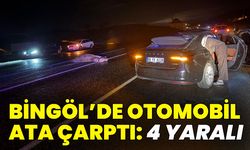 Bingöl'de Otomobil Ata Çarptı: 4 Yaralı
