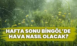 Bingöl’de Hafta Sonu Hava Nasıl Olacak?