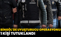 Bingöl’de Uyuşturucu Operasyonu: 1 Kişi Tutuklandı