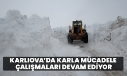 Karlıova’da Karla Mücadele Çalışmaları Devam Ediyor
