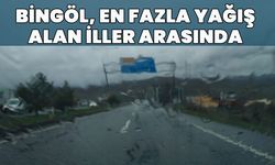 Bingöl'de Metrekareye Rekor Yağış!