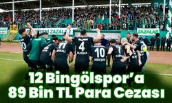 12 Bingölspor’a 89 Bin TL Para Cezası
