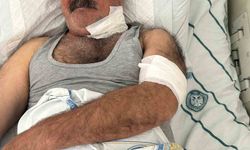 At Sahibini Boğazından Isırarak Yaraladı!