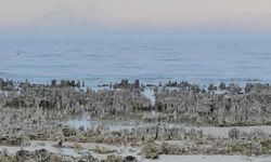 Van Gölü'nde kuraklık alarmı: Adilcevaz sahilinde mikrobiyalitler gün yüzüne çıktı