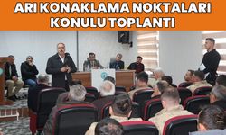 Bingöl’de ‘Arı Konaklama Noktaları Toplantısı’ Yapıldı