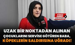 Uzak Bir Noktadan Alınan Çocuklarını Servise Götüren Baba, Köpeklerin Saldırısına Uğradı!