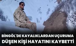 Bingöl'de Kayalıklardan Uçuruma Düşen Kişi Hayatını Kaybetti
