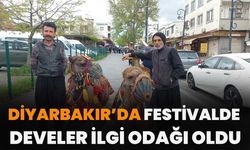 Diyarbakır’da Festivalde Develer İlgi Odağı Oldu