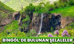 Bingöl’de Bulunan Şelaleler