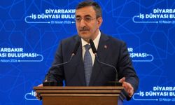 Cumhurbaşkanı Yardımcısı Yılmaz: Herkes Diline, Üslubuna Dikkat Etmeli