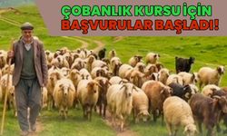 Bingöl'de Çobanlık Kursu için Başvurular Başladı!