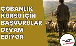 Bingöl’de Çobanlık Kursu için Başvurular Sürüyor