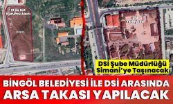 Bingöl Belediyesi İle DSİ Arasında Arsa Takası Yapılacak