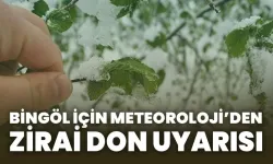Bingöl İçin Zirai Don Uyarısı!