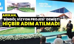Arıkan, ‘Bingöl Vizyon Projesi’ Demişti, Hiçbir Adım Atılmadı