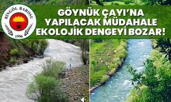 Göynük Çayı’na Yapılacak Müdahale Ekolojik Dengeyi Bozar!