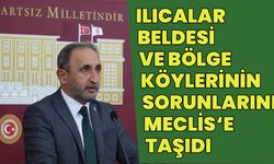 Bingöl'ün Ilıcalar Bölgesindeki Sorunları Meclis’e Taşıdı