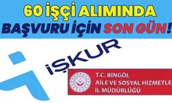 Bingöl'de 60 İşçi Alımı Başvurularında Son Gün!