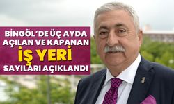 Bingöl’de Üç Ayda Açılan Ve Kapanan İş Yeri Sayıları Açıklandı