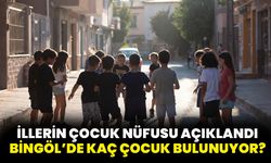 İllerin Çocuk Nüfusu Açıklandı, Bingöl’de Kaç Çocuk Bulunuyor?