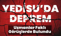 Yedisu'da Deprem: Uzmanlar Faklı Görüşlerde Bulundu