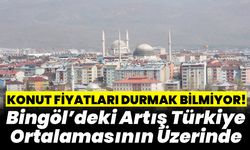 Bingöl’deki Artış Türkiye Ortalamasının Üzerinde