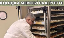 Bingöl'de 'Kanatlı Kuluçka Merkezi' Açıldı