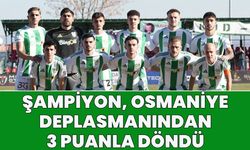Şampiyon 12 Bingölspor, Osmaniye’den 3 Puanla Döndü