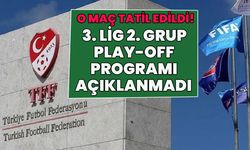 Şampiyon 12 Bingölspor’un Grubunda Play-Off Programı Ertelendi!