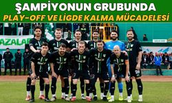 Şampiyon 12 Bingölspor’un Grubunda 7 Takım Play-Off Mücadelesine Çıkacak!