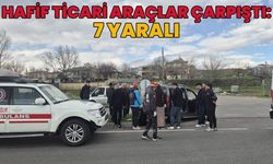 Bingöl'de Trafik Kazası: 7 Yaralı