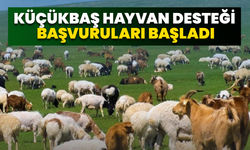Küçükbaş Hayvan Desteği Başvuruları Başladı