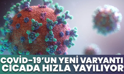 Covid-19’un Yeni Varyantı “Cicada” Hızla Yayılıyor
