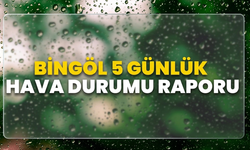 Bingöl 5 Günlük Hava Durumu Raporu