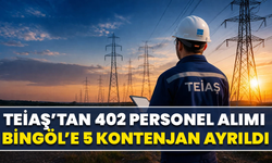 Teiaş’tan 402 Personel Alımı, Bingöl’e 5 Kontenjan Ayrıldı