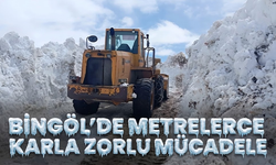 Bingöl’de Metrelerce Karla Zorlu Mücadele