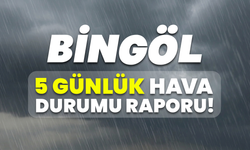 Bingöl 5 Günlük Hava Durumu Raporu!